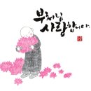 밸런스 라인댄스 이미지