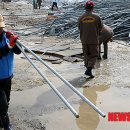 월호농장 이미지