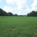 푸른초장 이미지