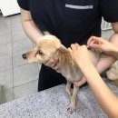 아띠동물병원 이미지