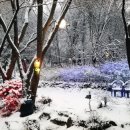 샾 펜션 이미지