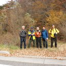 새만금부화장 이미지