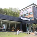 소나무향기 이미지