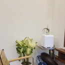 고덕로 62길 | 고덕역 로빈헤어 염색 사사키 오프더블랙 염색 후기