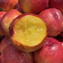 [마감] 신비/신선 복숭아 눈물의 특가 이미지