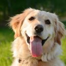 하이동물병원 이미지