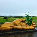 학원농장2025.09.25 이미지