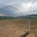 선영농장 이미지