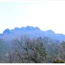 팔영산자연휴양림 이미지