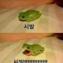 동탄수내과의원 | 비수면 위 내시경 솔직후기, 위 내시경 편하게 받는 꿀팁 - 동탄수내과, 동탄 위 내시경