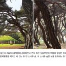 옥산마을 이미지