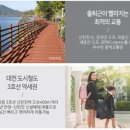 신탄진용정초교 네이버블로그