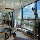 자이로토닉에코 네이버블로그