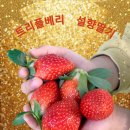 서상농장 이미지