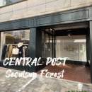 로리엣 | 남자 아메카지 룩 브랜드 서울 성수 동 편집샵 센트럴포스트 방문후기