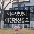 여수 댕댕이 애견 가족펜션 골드 | 임신 5개월 여수여행기2 (여수댕댕이애견펜션)