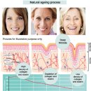 닥터퀸스의원 이미지