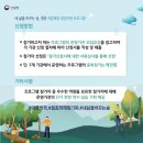 청년, Forest 이미지