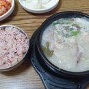 장보고순대국 - 홍성군 문화로 96 | 장보고순대국
