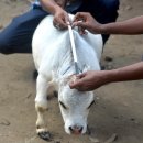 명대농장 이미지