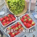 동읍134 | 창원시 로컬푸드 직매장 아이와 딸기 수확 체험 내가키워팜 방문 후기