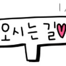 웰리스 동물병원 이미지