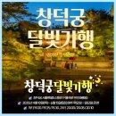 산책길에 만나는 인문학 기행(10월) | 창덕궁 달빛기행 야간 인기투어 코스 프로그램 전각 인정전 야경