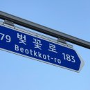 벚꽃로 네이버블로그