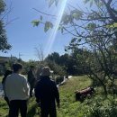 제언농장 이미지