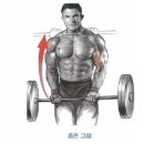 머슬메모리 이미지