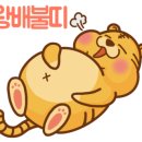 신필성참치