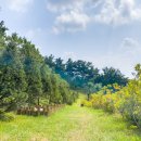 일산목장 이미지