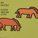 쌍마