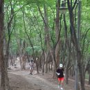 마씨 종친회. 이미지