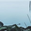 선인국제중학교 이미지