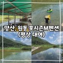 원동포시즌 | 양산, 원동 물놀이하기 좋은곳 추천 ( 포시즌M펜션 당일평상 후기 )