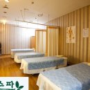 파라곤스파 이미지