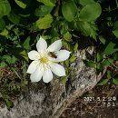 손주들농장 이미지