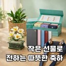 승진상사 | 직장 상사에게 반응 좋은 승진 축하 선물, 퀄리티 만점 힐링템 추천 TOP5