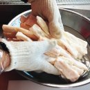 팡팡애견 이미지