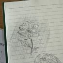 동부배드민턴 | 까치까치 오월엔~