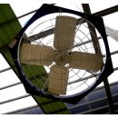 대산가축 이미지