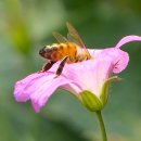 파나소닉서비스 이미지