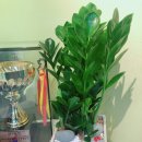 꿈마을음악학원 이미지