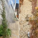 별밤농장 이미지