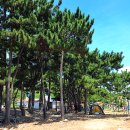 두곡해수욕장 이미지