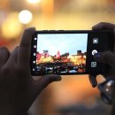 프라자동물병원 이미지