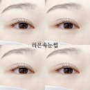 라은속눈썹