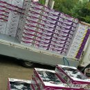 대우건강원 이미지