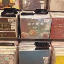 숙녀코너 이미지